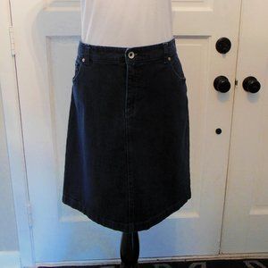 IZOD Blue Denim Jeans Skirt
